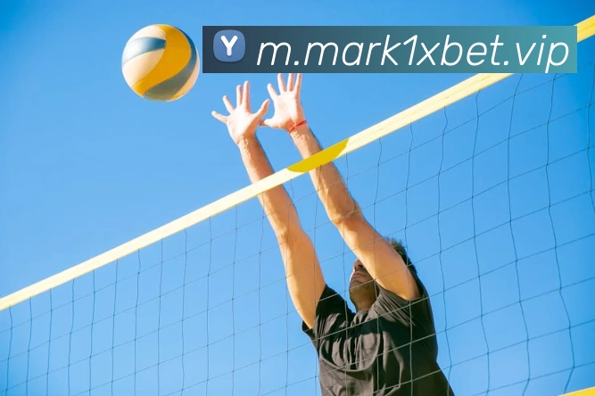 1xbet官网平台生态图